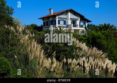 Frankreich, Pyrenees Atlantiques, Baskenland, Biarritz, traditionelle neobasque Stil Haus, im Vordergrund der Pampas Gras (Cortaderia selloana) Stockfoto