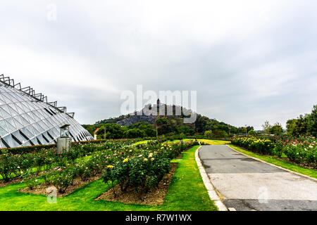 China Shanghai botanischer Garten mit Gewächshaus und Pagode auf einem Hügel Stockfoto