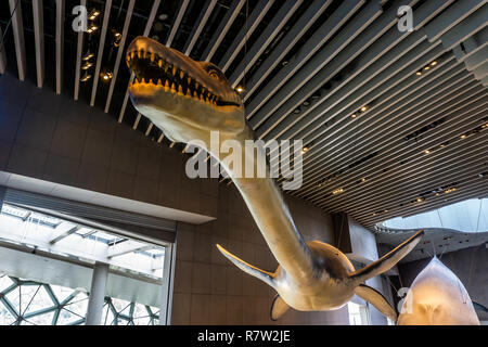 Naturwissenschaftliches Museum Innenansicht mit Decke und Plesiosaurus Stockfoto