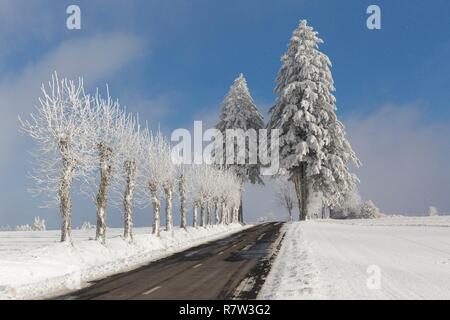 Frankreich, Aveyron, Montfranc, Straße im Winter Stockfoto