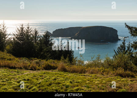 Blick auf einer kleinen Insel im Pazifischen Ozean an der Westküste des südlichen Oregon, USA Stockfoto