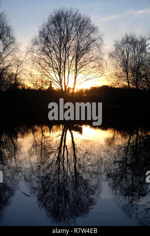 Wunderschöne natürliche Landschaft mit Silhouetten von Bäumen mit Filialen ohne Blätter in der Nähe eines ruhigen Sees im Herbst Abend bei Sonnenuntergang gegen die sunlig Stockfoto