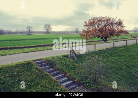 Den Fluß Waal und ein Deich in den Niederlanden, schöne Landschaft, grüne Wiese Stockfoto