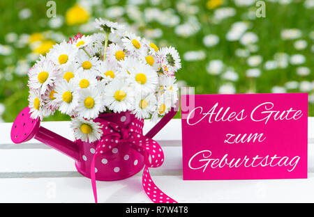 Daisy Flowers in einem kleinen roten Gießkanne Stockfoto