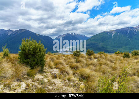 Wandern in den Bergen, die bealey Spur verfolgen, arthurs Pass, Neuseeland Stockfoto