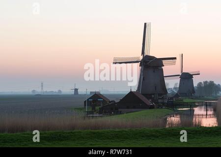 Niederlande, Südholland Provinz, Region, Oterleek Leeghwater, Windmühlen auf Schermer Polder Stockfoto