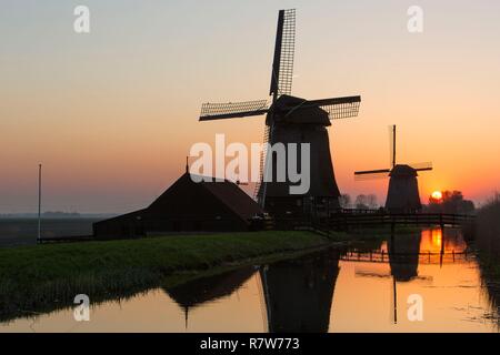 Niederlande, Südholland Provinz, Region, Oterleek Leeghwater, Windmühlen auf Schermer Polder Stockfoto