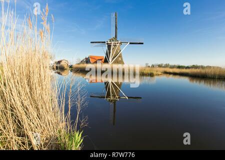 Niederlande, Südholland Provinz, Region, Oterleek Leeghwater, Windmühle auf Schermer Polder Stockfoto