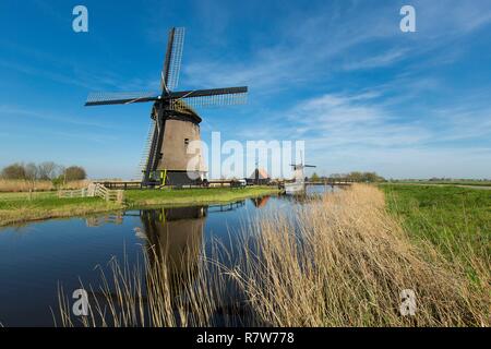 Niederlande, Südholland Provinz, Region, Oterleek Leeghwater, Windmühle auf Schermer Polder Stockfoto