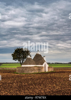 Lonely Trulli Haus in der Nähe von Alberobello, Italien Stockfoto