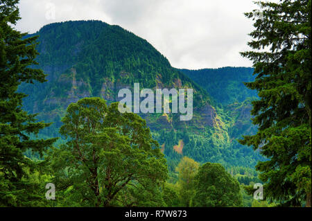 Majestic Szene der Oregon Seite der Columbia River Gorge von Beacon Hill State Park gesehen Stockfoto