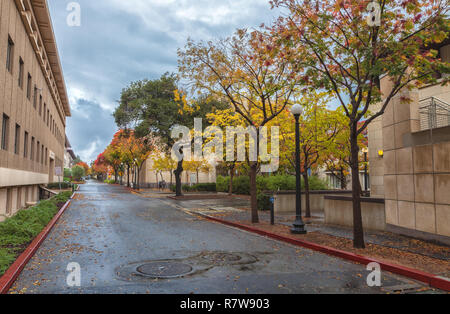 Campus der Stanford University, Palo Alto, Kalifornien, USA, an einem verregneten Herbsttag. Stockfoto