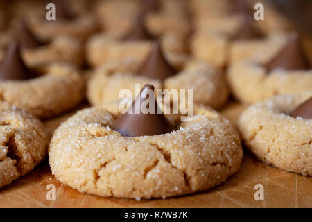 Blossom Peanutbutter cookies, schließen mit Reihen von Cookies hinter auf Holz Schneidebrett. Makroaufnahme. Stockfoto