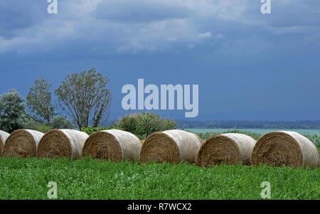 Heu Rollen in einem grünen Feld in der Nähe von See Trasimeno, Italien, in einem bewölkten Tag Stockfoto