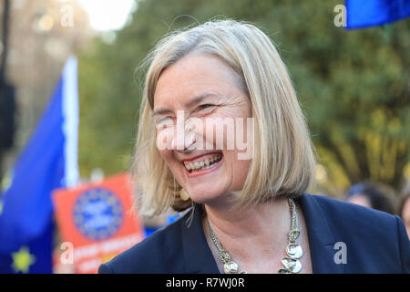 Westminster, London, 11. Dezember 2018. Sarah Wollaston, Konservative MP für Totnes, Chats zu Anti-Brexit Demonstranten in Westminster. Credit: Imageplotter Nachrichten und Sport/Alamy leben Nachrichten Stockfoto