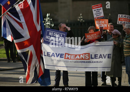 London, Großbritannien. 11 Dez, 2018. Die Demonstranten vor dem Parlamentsgebäude in London, Großbritannien, am Dez. 11, 2018. Der britische Premierminister Theresa Mai ihre Sendung Dienstag zu Ihrem Brexit befassen sich mit einer Runde von Treffen mit der Europäischen Union (EU) die Staats- und Regierungschefs zu retten versuchen. Quelle: Tim Irland/Xinhua/Alamy leben Nachrichten Stockfoto