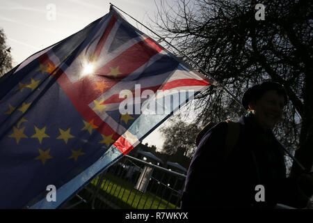 London, Großbritannien. 11 Dez, 2018. Ein Demonstrator steht außerhalb der Häuser des Parlaments in London, Großbritannien, am Dez. 11, 2018. Der britische Premierminister Theresa Mai ihre Sendung Dienstag zu Ihrem Brexit befassen sich mit einer Runde von Treffen mit der Europäischen Union (EU) die Staats- und Regierungschefs zu retten versuchen. Quelle: Tim Irland/Xinhua/Alamy leben Nachrichten Stockfoto