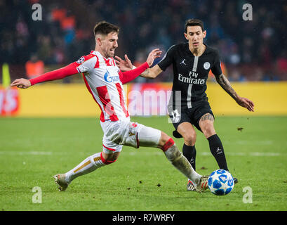 Rajko Mitic Stadion, Belgrad, Serbien. 11 Dez, 2018. Edinson Cavani von Paris Saint-Germain Herausforderungen Milos Degenek von Roter Stern Belgrad Credit: Nikola Krstic/Alamy leben Nachrichten Stockfoto