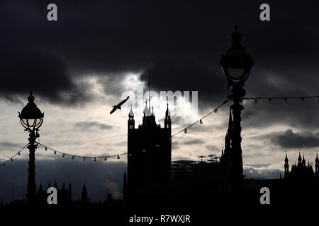 Dpatop - eine Möwe fliegt an der Themse durch die silhoutte der Westminster (Parlament) in London, Großbritannien, 11. November 2017 unterstützt. Foto: Christian Charisius/dpa | Verwendung weltweit Stockfoto