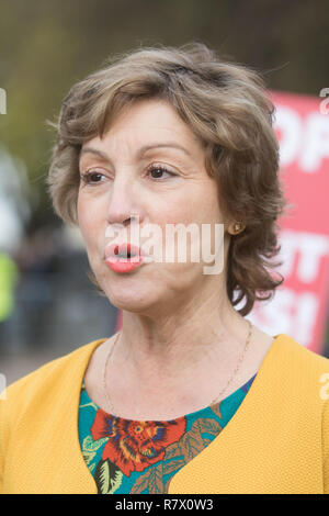 London UK 12. Dezember 2018. Rebecca Pow Konservative MP für Taunton Deane Credit: Amer ghazzal/Alamy leben Nachrichten Stockfoto