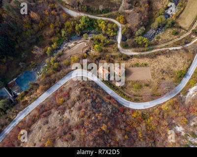 Herbst Wald drone Luftaufnahme, Ansicht von oben von Laub Bäume und auf der Straße. Stockfoto