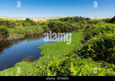 Frankreich, Landes, Moliets et Maa, Courant d'Huchet National Nature Reserve Stockfoto