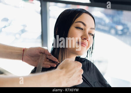 Friseur schneiden Haare einer Frau. Close-up. Stockfoto