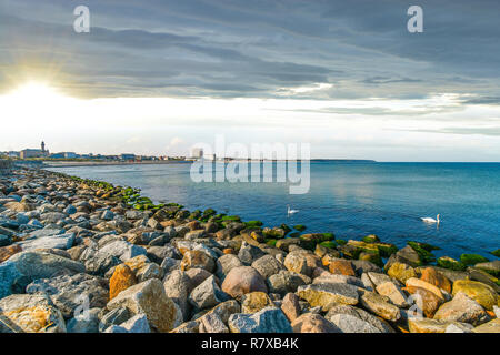 Zwei weiße Schwäne schwimmen in der Ostsee neben Felsen und den breiten Sandstrand an der Küste von Warnemünde Rostock, Deutschland. Stockfoto