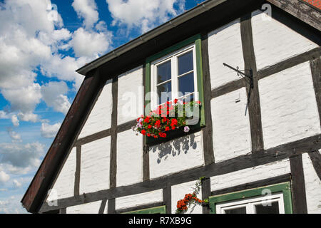 Ein typisch nordischen oder skandinavischen Heimat mit einem bunten flowerbox außen Fenster in den Küstengebieten mittelalterliche Altstadt von Warnemünde, Deutschland Stockfoto