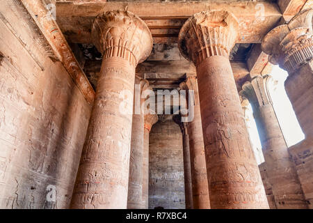 Spalten mit Hieroglyphen und polychromie in Edfu Tempel zeigen, gewidmet dem Falkengott Horus, am Westufer des Nils, Edfu, Obere E Stockfoto