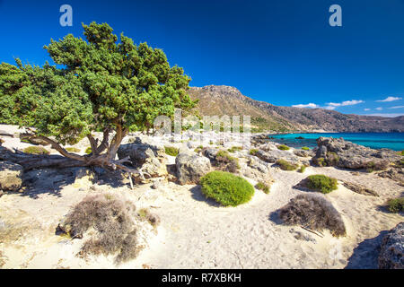 Strand in der Nähe von Kedrodasos Elafonissi Strand auf der Insel Kreta mit azurblauen Wasser, Griechenland, Europa. Kreta ist die größte und bevölkerungsreichste der Griechischen isl Stockfoto