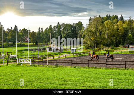 Zwei weibliche Reiter reiten rassigen Pferden auf einer Pferdefarm in den späten Nachmittag an der Stadt von sipoo Finnland Stockfoto