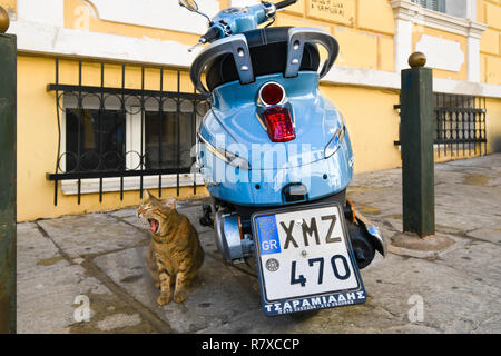 Eine streunende Katze Katze gähnt, wie er im Schatten der ein Motorroller im Plaka Viertel von Athen, Griechenland entspannt. Stockfoto