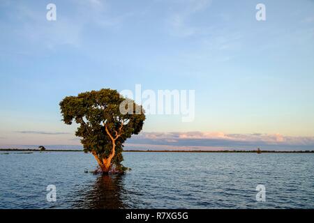 Kambodscha, Kompong Kleang oder Kampong Kleang, der Tonle Sap See Stockfoto