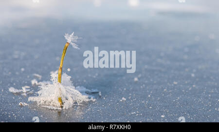 Konzept - überzeugend. Lonely eingefroren Kraftwerk ist mit gefrorenen Schneeflocken im Eis überflutet. Winter Stockfoto