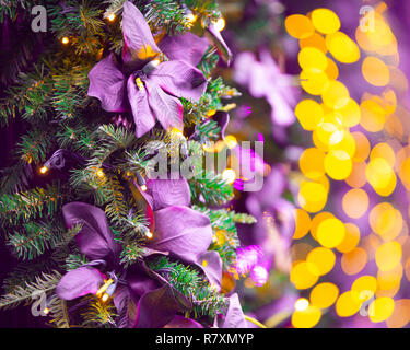 Schöne bunte Weihnachten Hintergrund Bild mit Beleuchtung, Blätter und Zweige zu Weihnachten Stockfoto