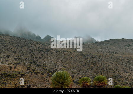 Mount Kenya teilweise von Wolken bedeckt, Mount Kenya National Park, Kenia Stockfoto