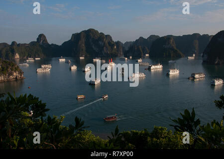 Tour Boote auf Ha Long Bay Stockfoto