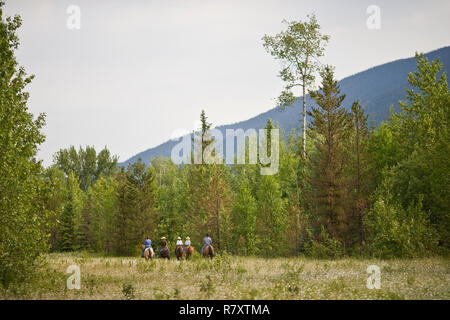 Familie Reiten und Trekking durch Wiese Stockfoto