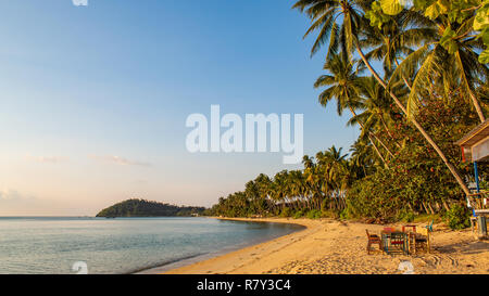 Palmen im Paradise Beach Stockfoto