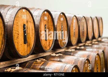 Portugal, Azoren, Sao Miguel, Ribeira Grande, Mulher de Capote Distillery, Fässer Stockfoto