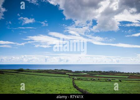 Portugal, Azoren, auf der Insel Terceira, Cabo de Praia, Felder Stockfoto