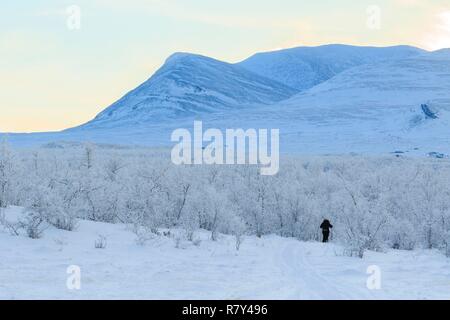 Schweden, Lappland, Region als Weltkulturerbe von der UNESCO, Norrbottens Län, Schneeschuh Wanderer in Abisko Nationalpark aufgeführt Stockfoto