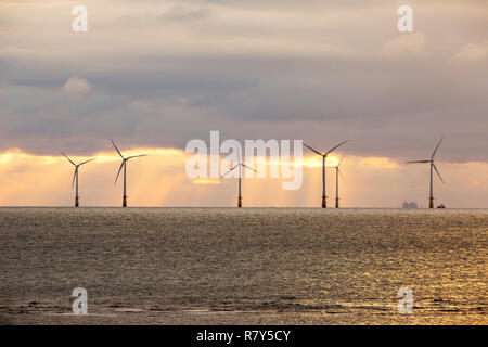 Die walney Offshore Windparks von der Südspitze Walney Island, Cumbria, Großbritannien. Stockfoto