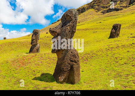 Die Moai Statuen von Rano Raraku Steinbruch, dass es nie zu ihrer Plattform oder Ahu auf der Insel Rapa Nui (Osterinsel) im Pazifischen Ozean, Chile. Stockfoto