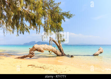 Schönen weißen Sand Strand auf KOH Kradan Insel, Provinz Trang, Thailand Stockfoto