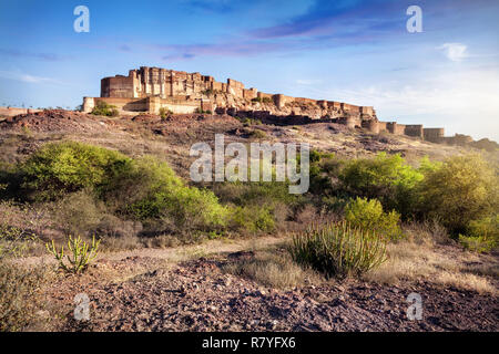 Mehrangarh Fort Blick von Rao Jodha Desert Park am blauen Himmel in Jodhpur, Rajasthan, Indien Stockfoto