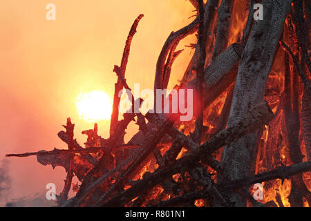 Sonne hinter Osterfeuer Stockfoto