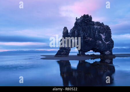 Hvítserkur ist eine 15 m hohe Basalt Stapel entlang der östlichen Küste der Halbinsel Vatnsnes, im Nordwesten Islands. Stockfoto