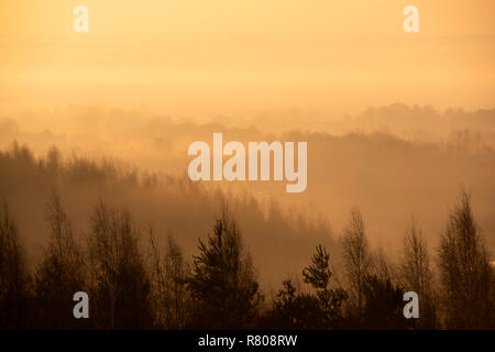 Misty Sonnenaufgang Morgen über dem Tal von gedling Gedling Country Park in Nottingham, Nottinghamshire England Großbritannien Stockfoto